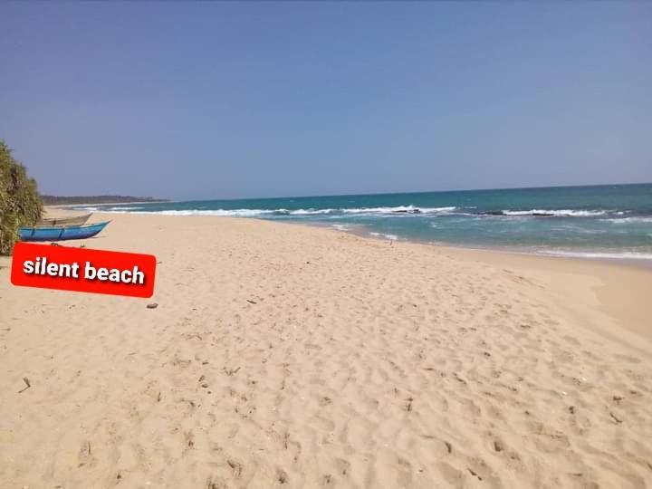 Star Sun Homestay تانجالي المظهر الخارجي الصورة